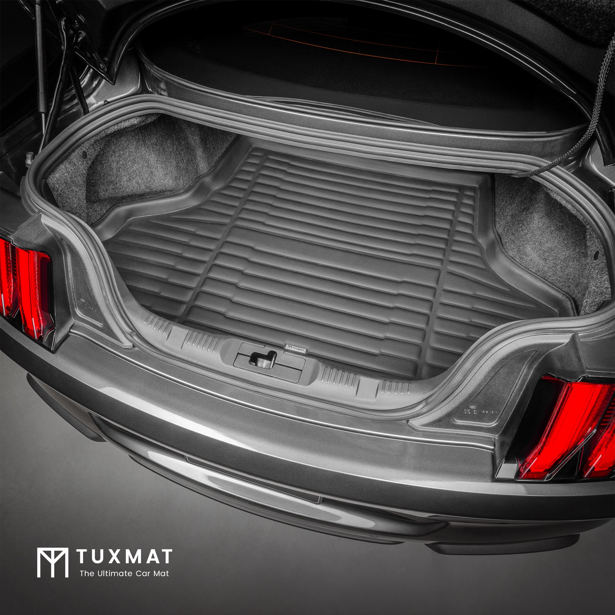 Ford mustang trunk mat deals