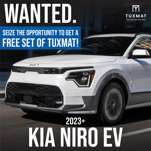 Kia Niro EV
